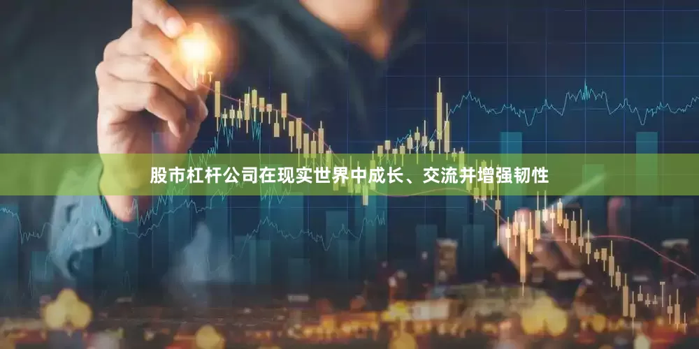 股市杠杆公司在现实世界中成长、交流并增强韧性