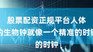 股票配资正规平台人体的生物钟就像一个精准的时钟